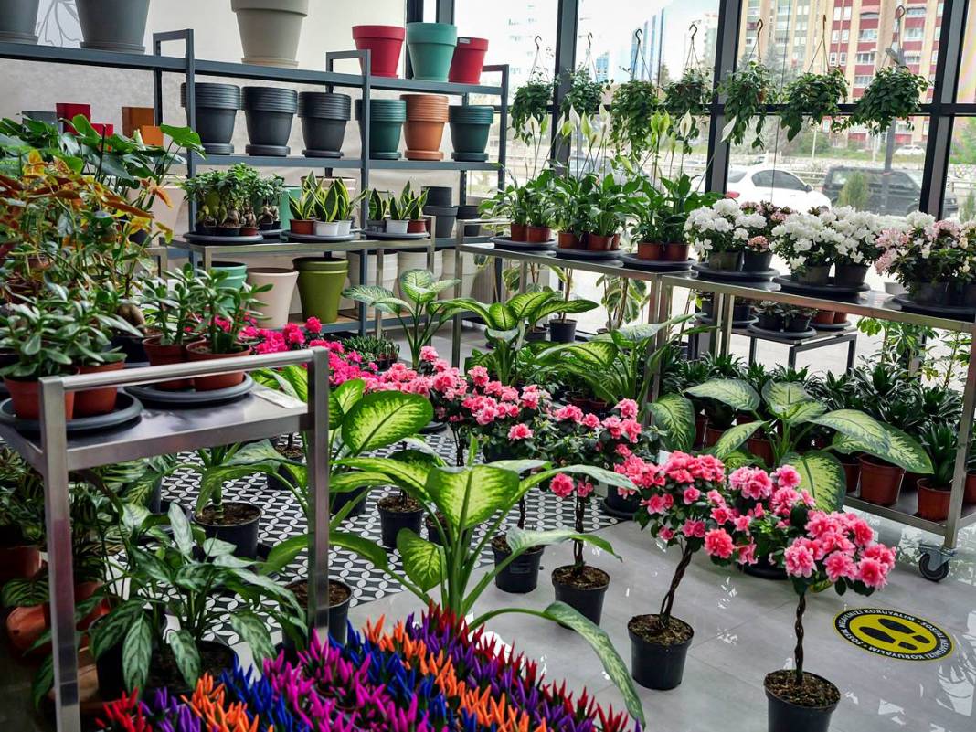 Etimesgut'ta çiçekler yeniden açıyor! Çiçek Hastanesi tam not aldı 11